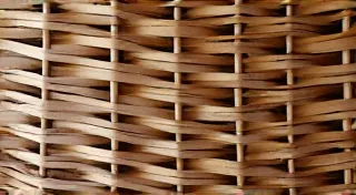 The Nest Weaver's Legacy: Craftsmanship and the Cycle of Life