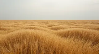Shadows of the Wing: Tracing Migration Routes Through Landscapes of Memory